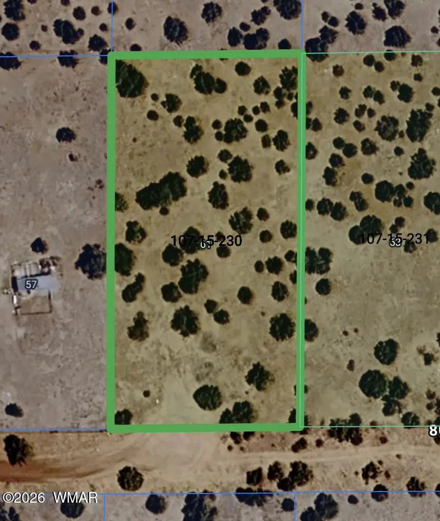 61 County Road, Concho, AZ 85924 - #1
