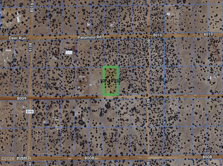 61 County Road, Concho, AZ 85924 - #2