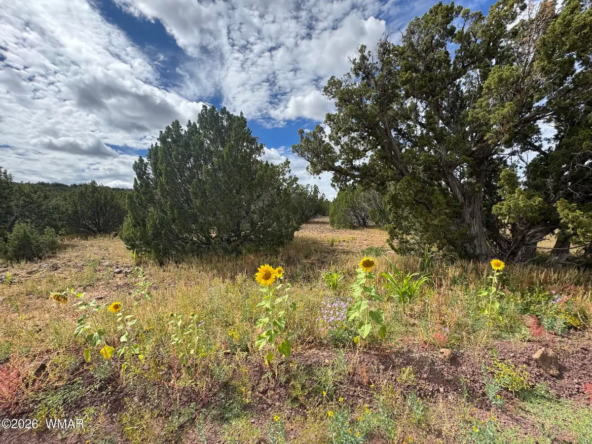 33 County Road 8230, Concho, AZ 85924 - #1