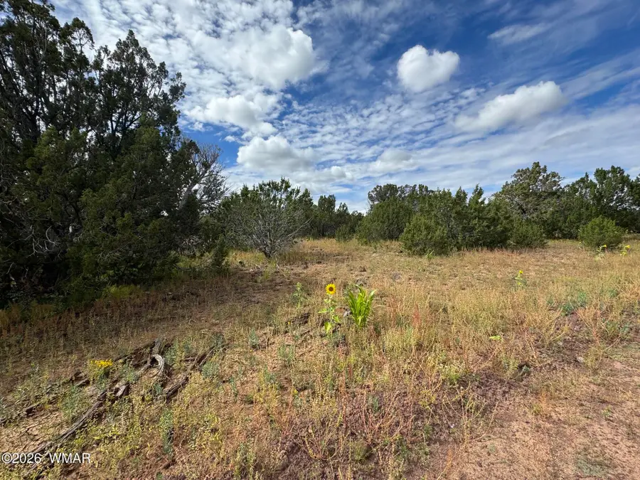 33 County Road 8230, Concho, AZ 85924 - #2