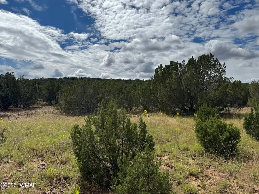 33 County Road 8230, Concho, AZ 85924 - #3