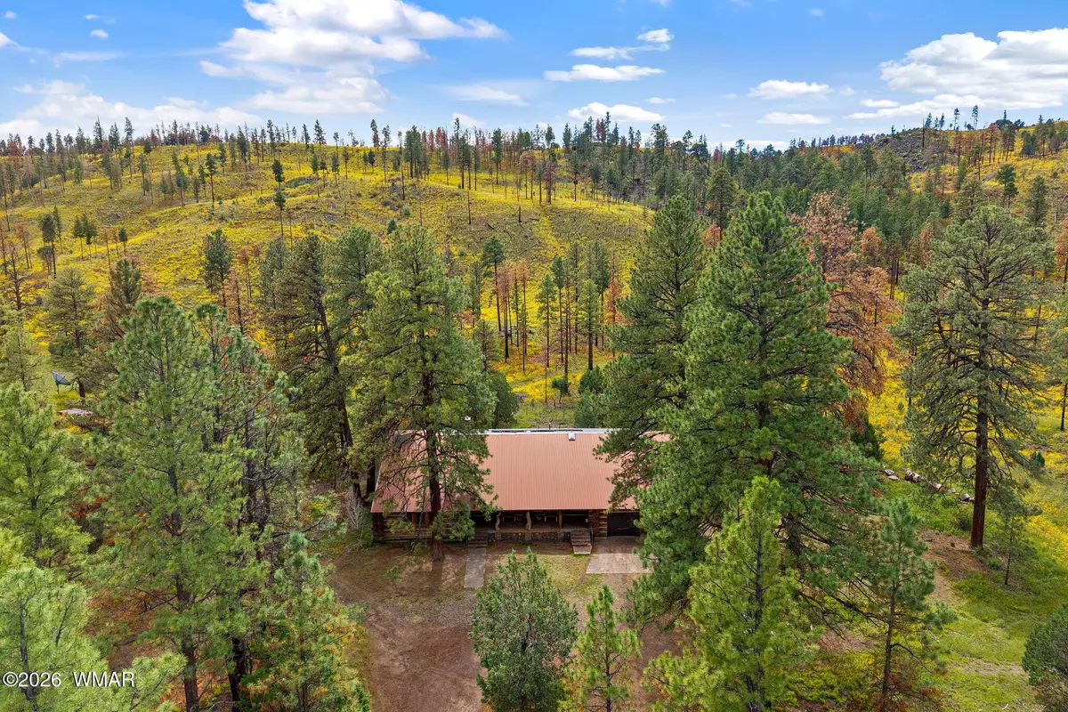 41005 Az-261b, Eagar, AZ 85925 - #1