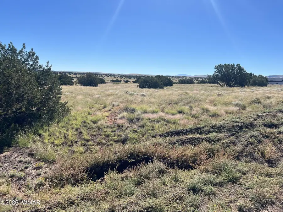 079A-079B Circle Drive, Concho, AZ 85924 - #3