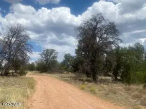 5785 N Muytala Lot D, Williams, AZ 86046