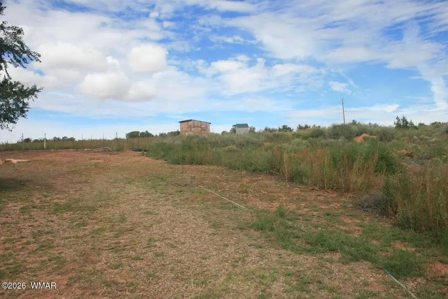 1740 E Eager Avenue, Snowflake, AZ 85937 - #3