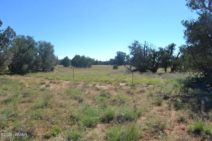 TBD N5549, Concho, AZ 85924 - #2