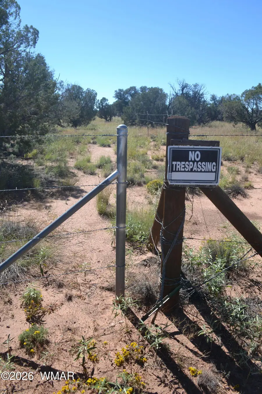 TBD N5549, Concho, AZ 85924 - #3