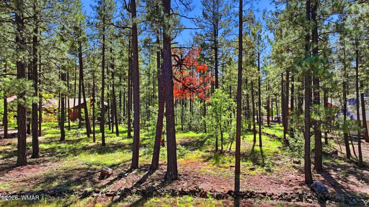 7029 Madison Lane Circle, Pinetop, AZ 85935 - #1