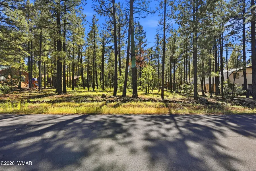 7029 Madison Lane Circle, Pinetop, AZ 85935 - #2