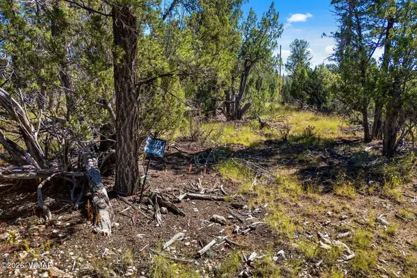 1948 Elk Road, Heber, AZ 85928