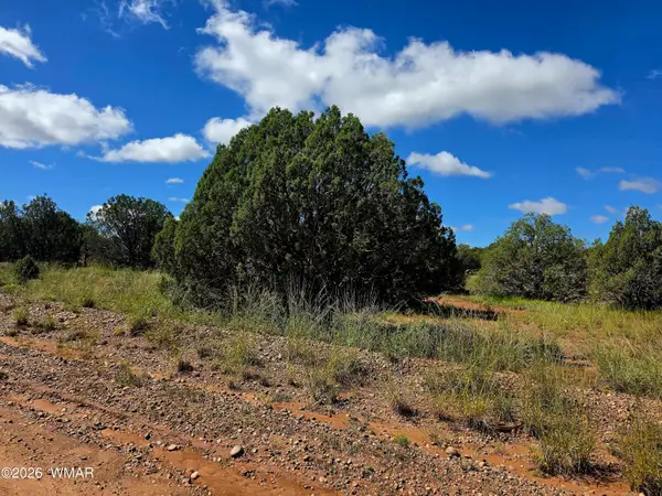 4428 Colt Road, Snowflake, AZ 85937