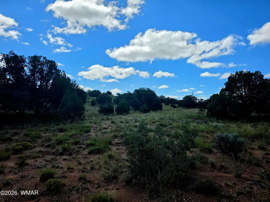 4428 Colt Road, Snowflake, AZ 85937 - #3