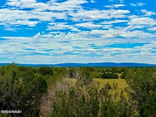 0 Dusty Rose Ranch Rd #c 12 Acre, Seligman, AZ 86337