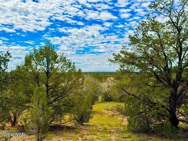 0 Dusty Rose Ranch Rd #a 16 Acre, Seligman, AZ 86337