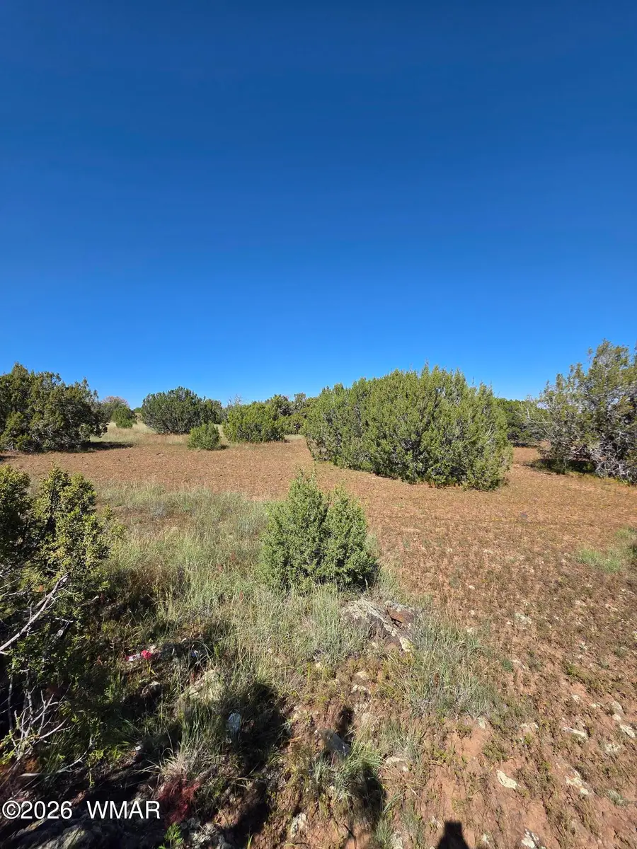 1 8063 Road, Vernon, AZ 85940 - #2