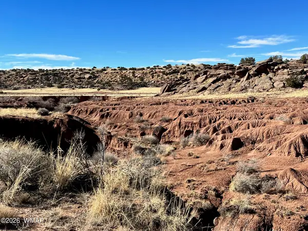 Lot 36 N8441, Concho, AZ 85924