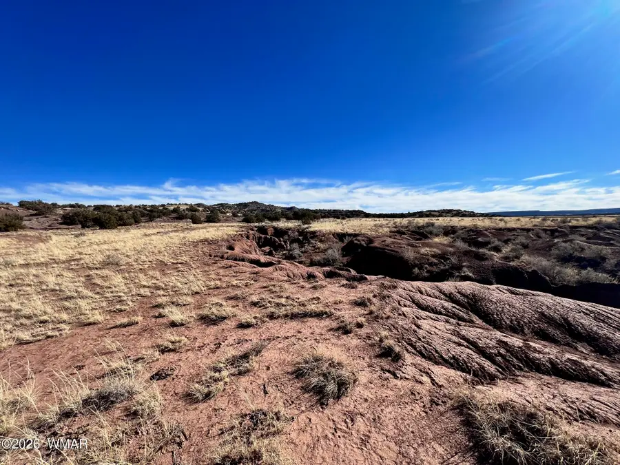 Lot 36 N8441, Concho, AZ 85924 - #3