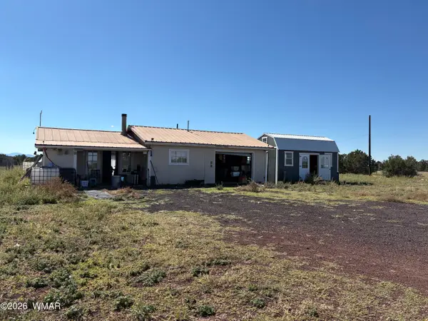 46 County Road 8307, Concho, AZ 85924