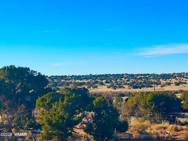 9747 Willis Hill Trl 40 Acres, Snowflake, AZ 85937