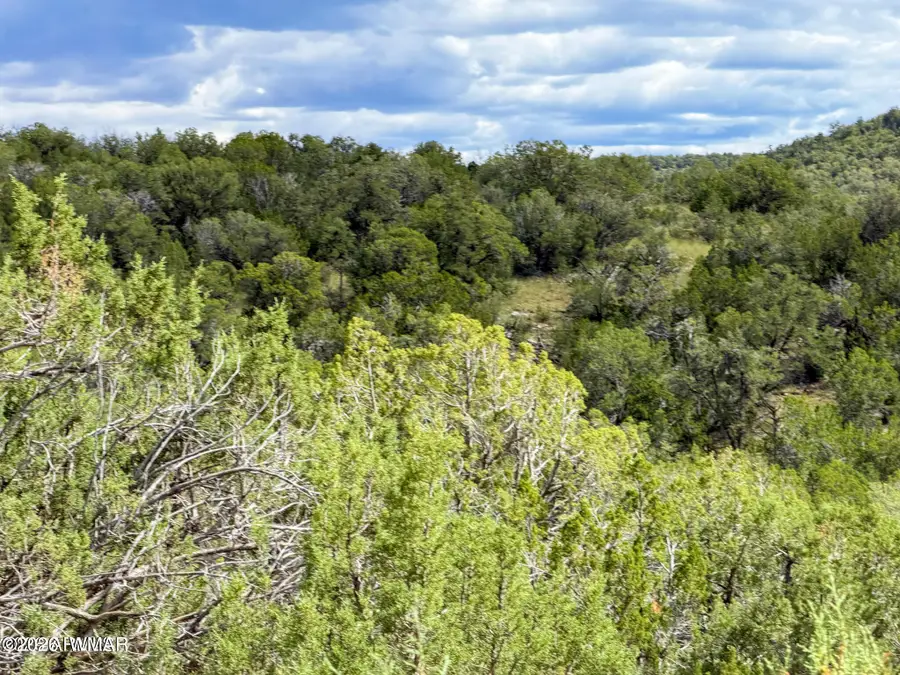 0 W Elkhorn Pass 36 Acres, Seligman, AZ 86337 - #2