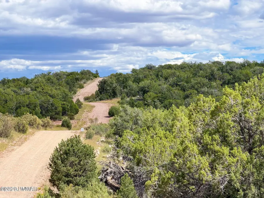 0 W Elkhorn Pass 36 Acres, Seligman, AZ 86337 - #3