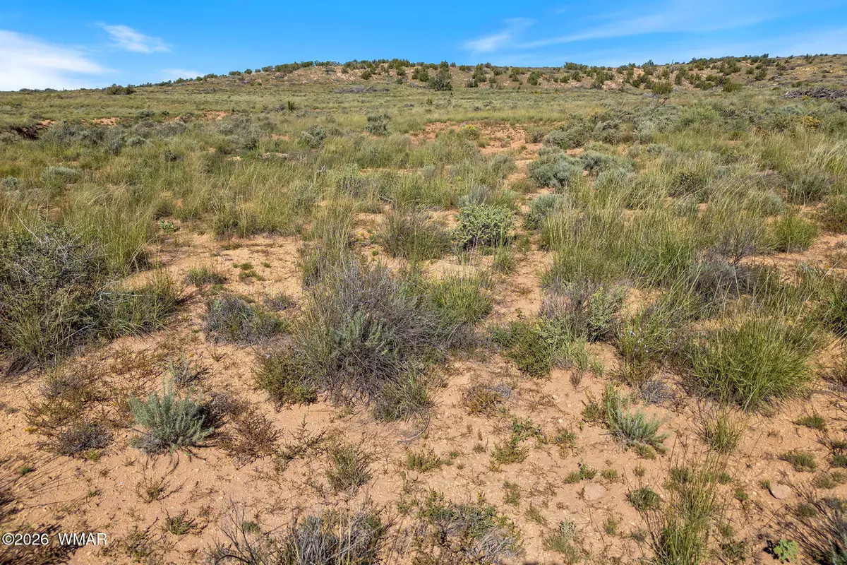 TBD W Flake Avenue, Snowflake, AZ 85937 - #1