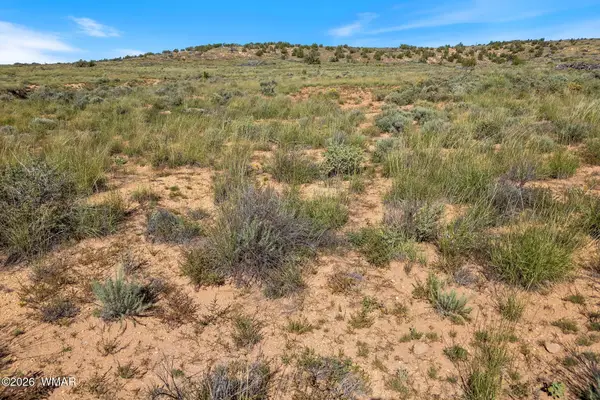 TBD W Flake Avenue, Snowflake, AZ 85937