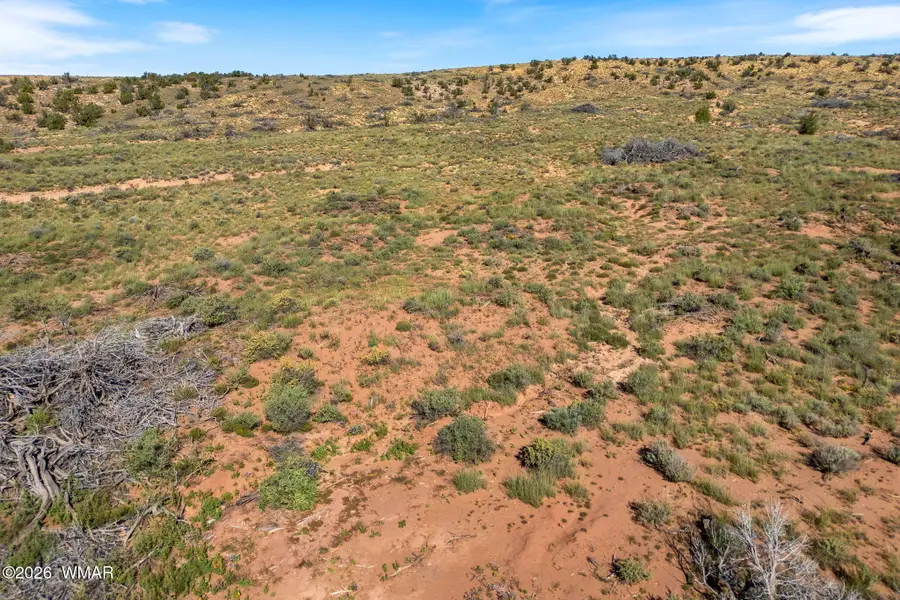 TBD W Flake Avenue, Snowflake, AZ 85937 - #2