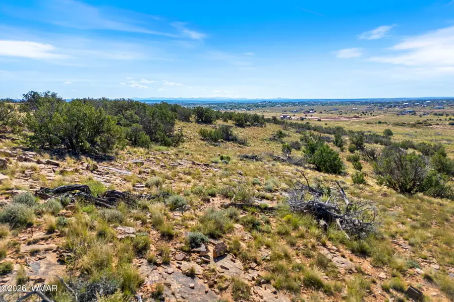 TBD W Flake Avenue, Snowflake, AZ 85937 - #3
