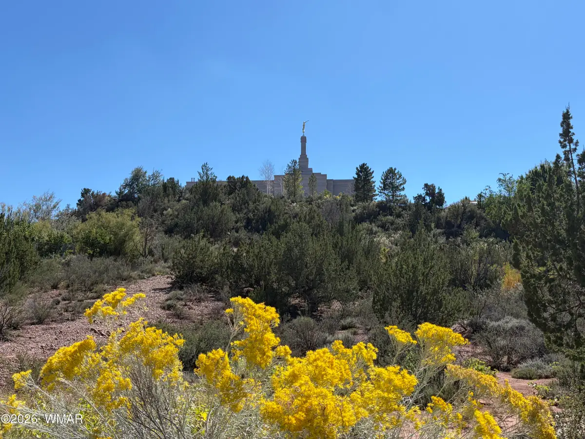 24 S Temple Circle, Snowflake, AZ 85937 - #1