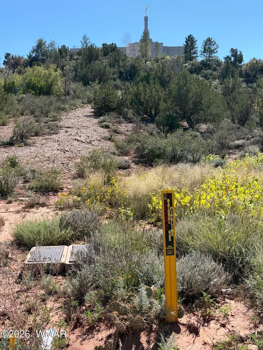24 S Temple Circle, Snowflake, AZ 85937 - #2