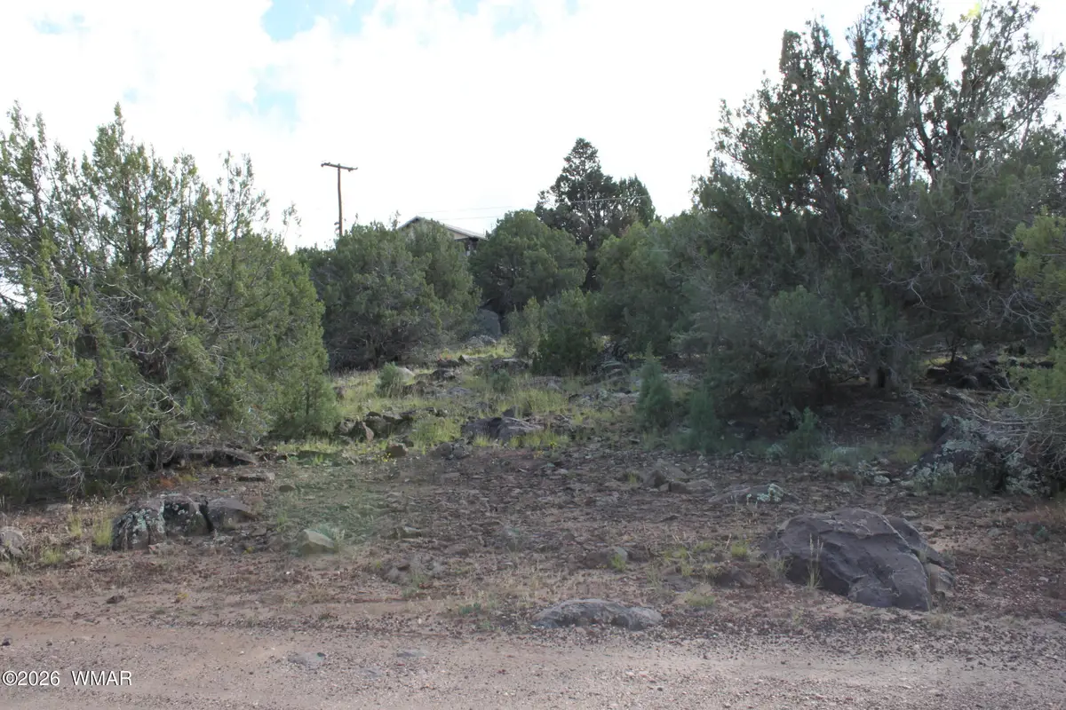 8319 Lone Pine Drive, Show Low, AZ 85901 - #1
