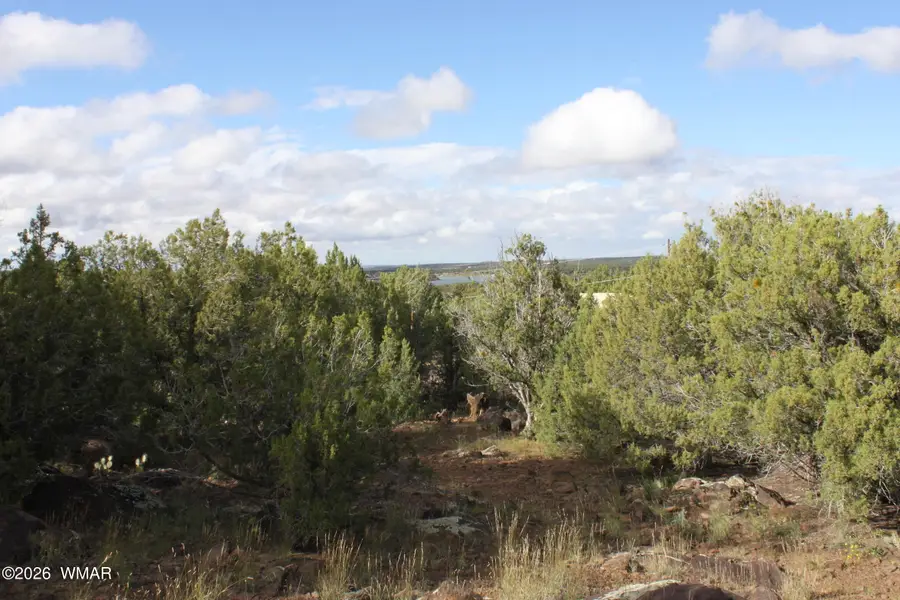 8319 Lone Pine Drive, Show Low, AZ 85901 - #3