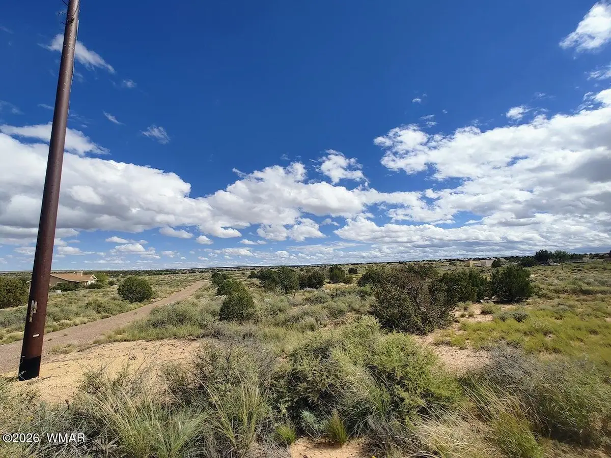 2785 Old Woodruff Road, Snowflake, AZ 85937 - #1