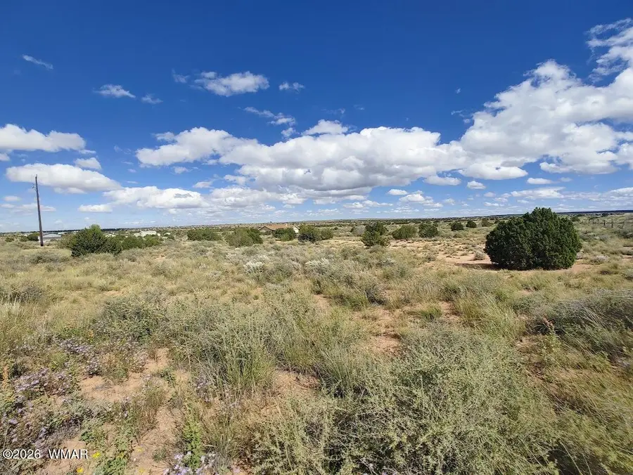 2785 Old Woodruff Road, Snowflake, AZ 85937 - #2
