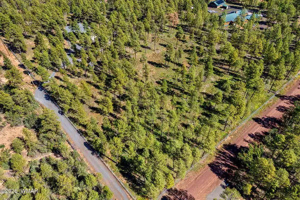 017E Rimspur, Pinetop, AZ 85935