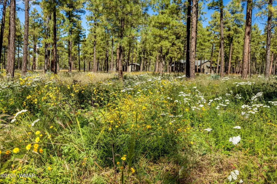 017E Rimspur, Pinetop, AZ 85935 - #3