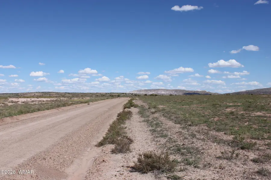 453 Co Rd 5392, Concho, AZ 85924 - #2