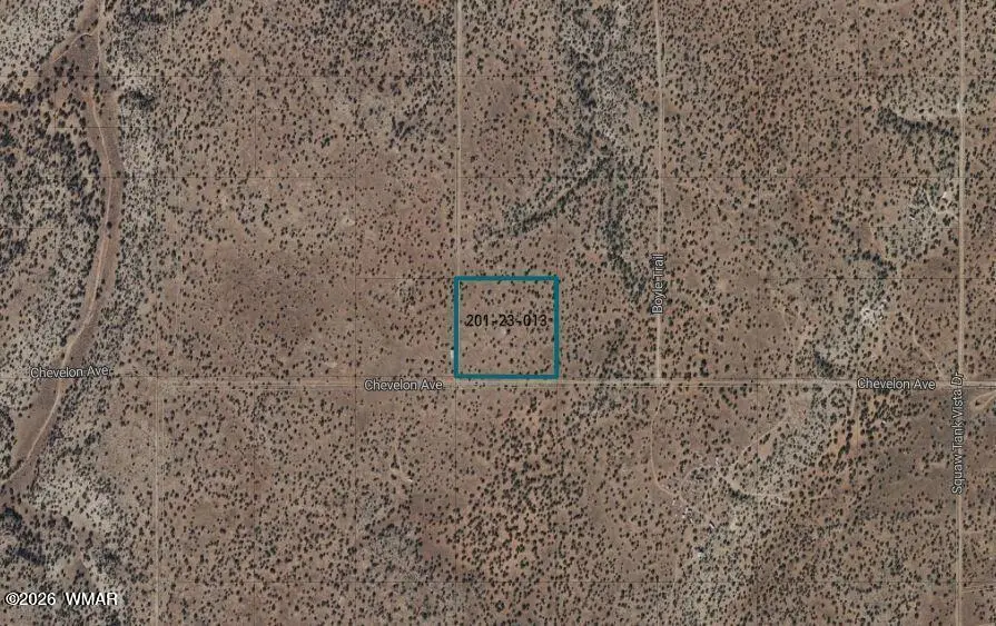 Lot 13 Chevelon Avenue, Heber, AZ 85928 - #2
