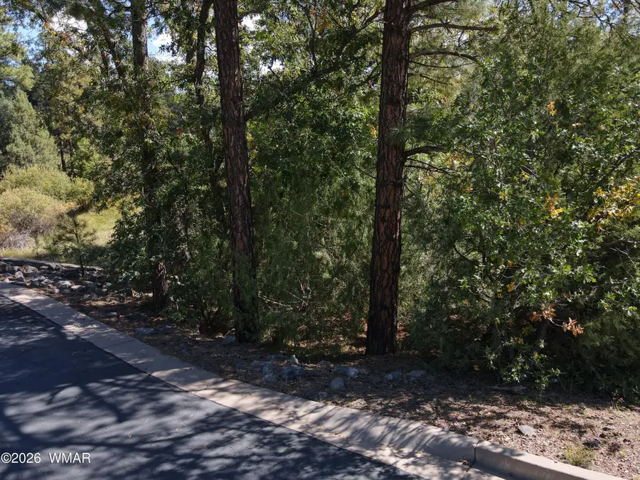18 Walnut Creek Trail, Lakeside, AZ 85929 - #3