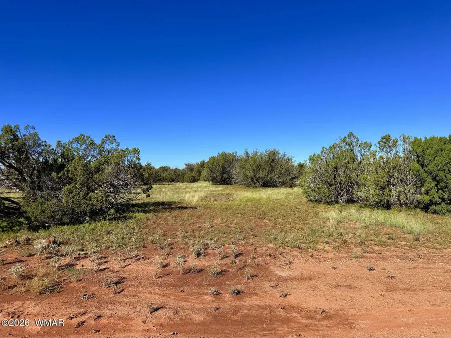 0 Lake Ridge Road, Show Low, AZ 85901 - #3