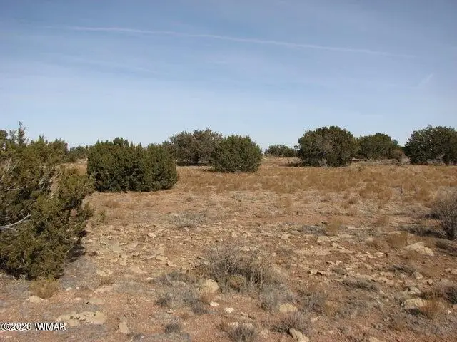 Sec 11 T14n, R16e, Nw4 Se4 Ne4, Heber, AZ 85928 - #1