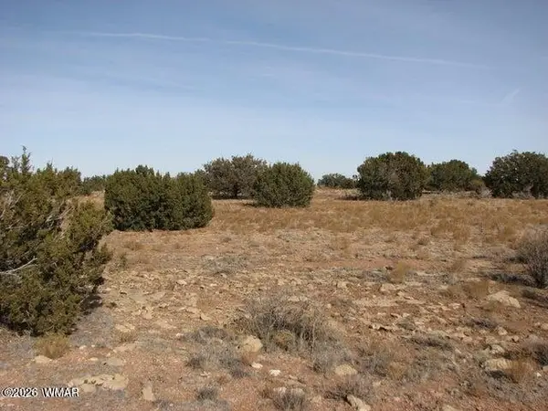 Sec 11 T14n, R16e, Nw4 Se4 Ne4, Heber, AZ 85928