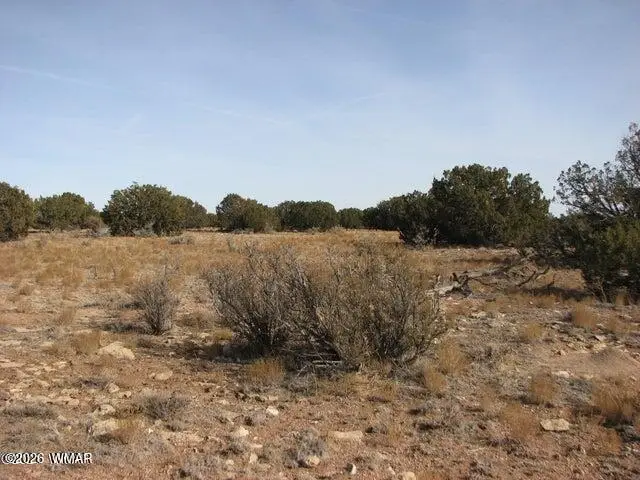 Sec 11 T14n, R16e, Nw4 Se4 Ne4, Heber, AZ 85928 - #2