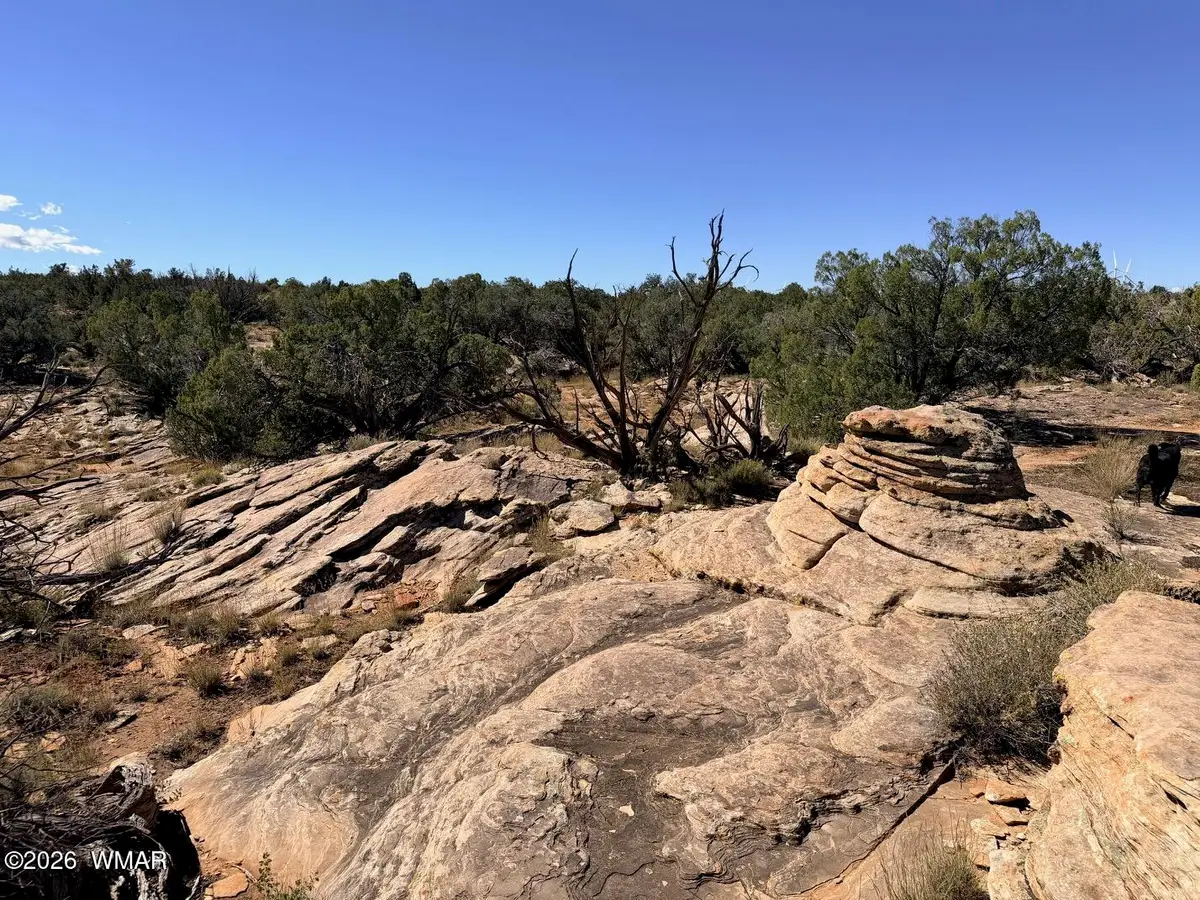 Lot 19 Snowflake Ranches, Snowflake, AZ 85937 - #1