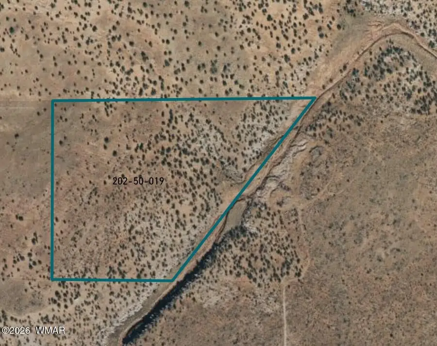 Lot 19 Snowflake Ranches, Snowflake, AZ 85937 - #2