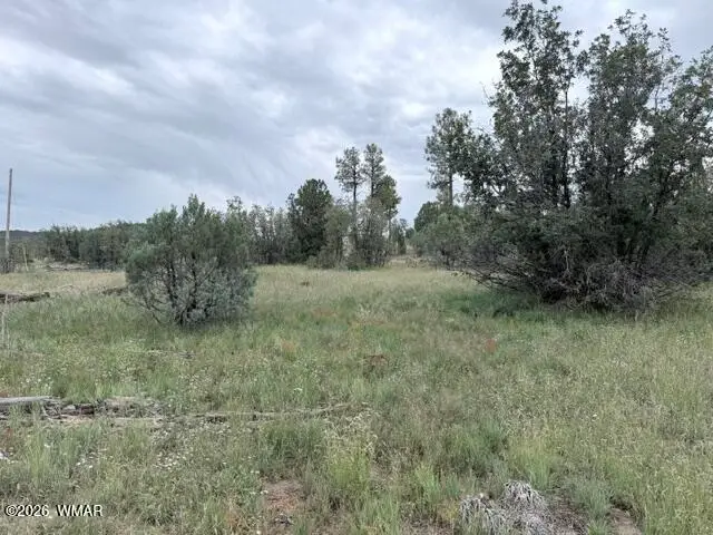 1807 Rocky Lane, Show Low, AZ 85901 - #2