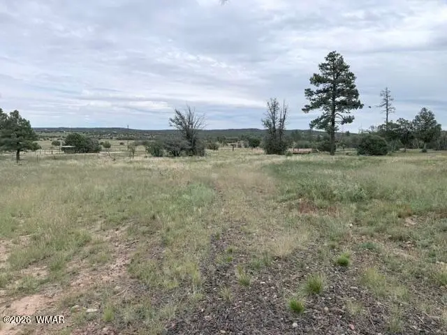 1807 Rocky Lane, Show Low, AZ 85901 - #3
