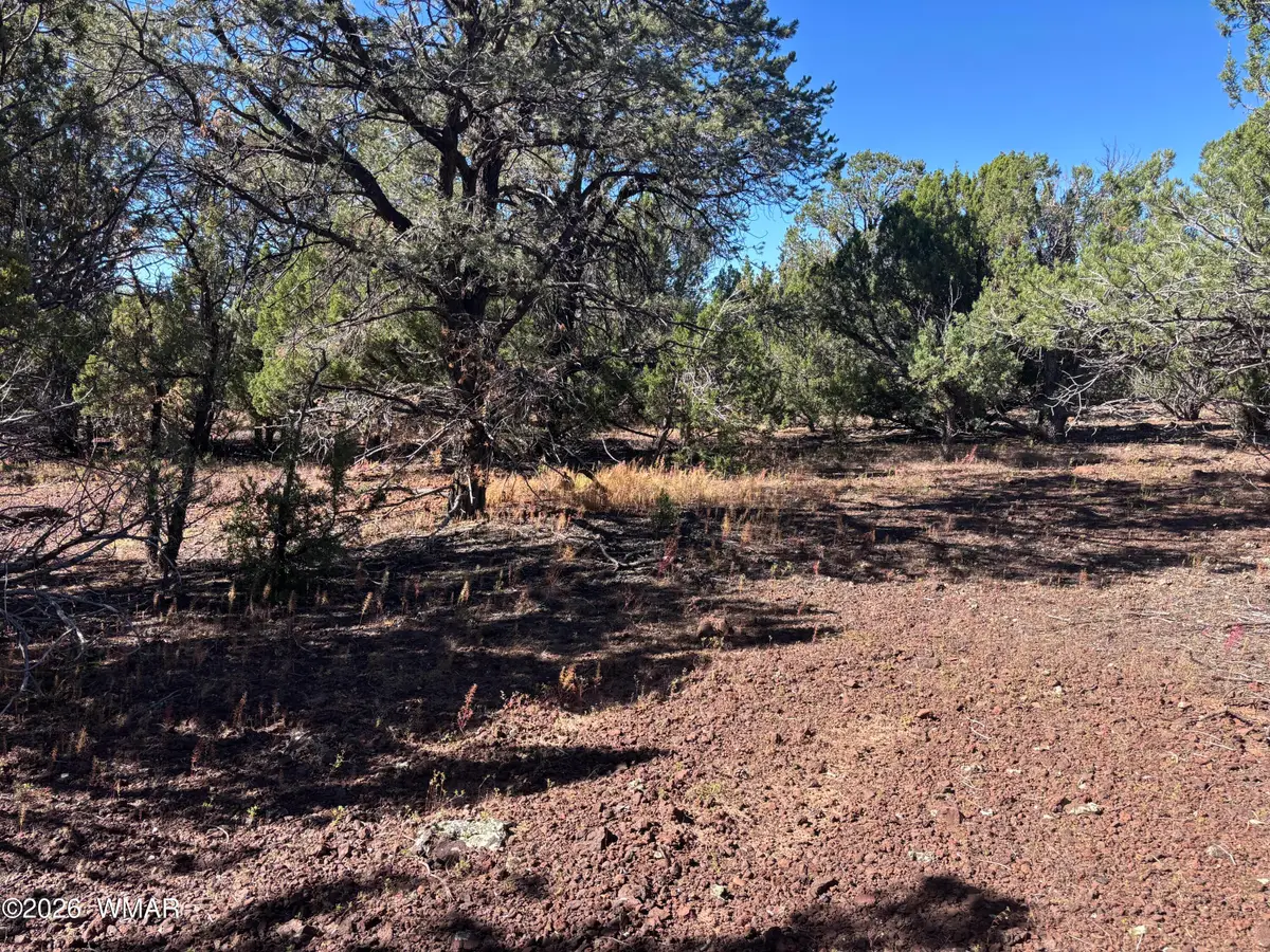 TBD Acr 3027, Vernon, AZ 85940 - #1