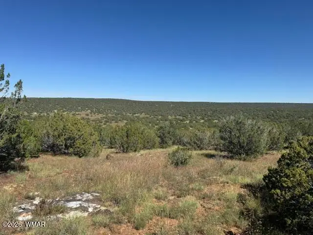 48 County Road 8237, Concho, AZ 85924 - #3